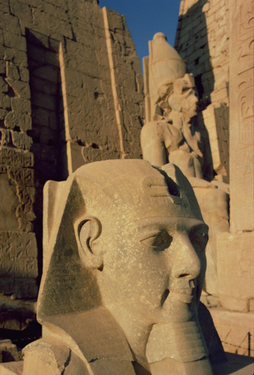 Kolossal overhoved for Ramses II (1298-32 f.Kr.) Nyt Rige af Egyptian 19th Dynasty