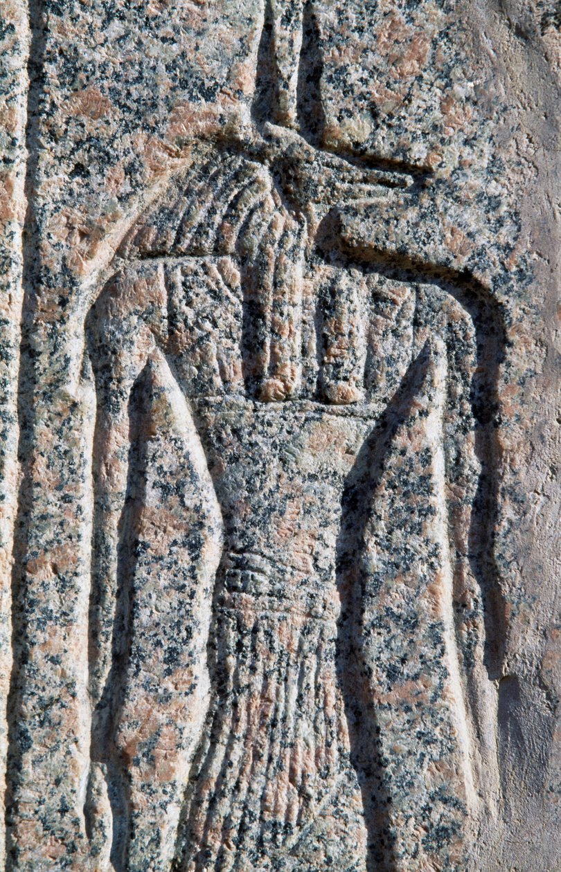 Afbildning af Anubis, detalje af indskrift og relief af Anubis og en anden gud, Amenhoteps sarkofag, Memphis (Unescos verdensarvsliste) af Egyptian 19th Dynasty