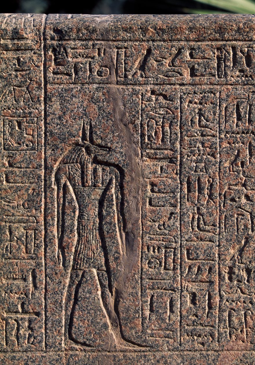 Afbildning af Anubis, detalje af indskrift og relief af Anubis og en anden gud, Amenhoteps sarkofag, Memphis (Unescos verdensarvsliste) af Egyptian 19th Dynasty