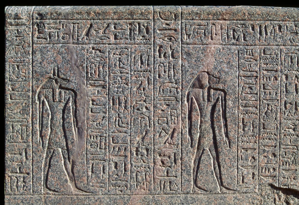 Afbildning af Anubis, detalje af indskrift og relief af Anubis og en anden gud, Amenhoteps sarkofag, Memphis, Egypten, Det Nye Rige, XIX. dynasti af Egyptian 19th Dynasty