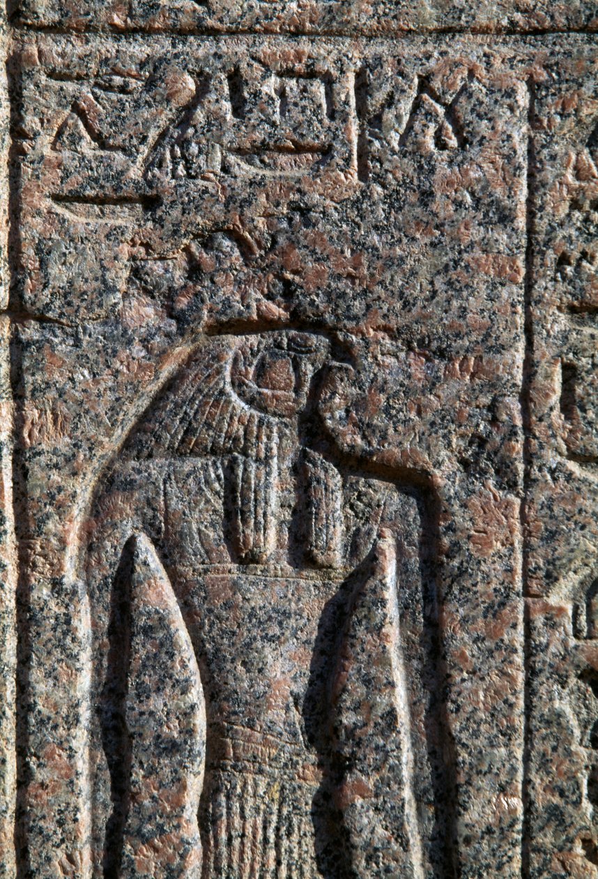 Afbildning af Horus, inskription og relief af Horus og Thot, Amenhoteps sarkofag, Memphis, Egypten, Det Nye Rige, XIX. dynasti af Egyptian 19th Dynasty