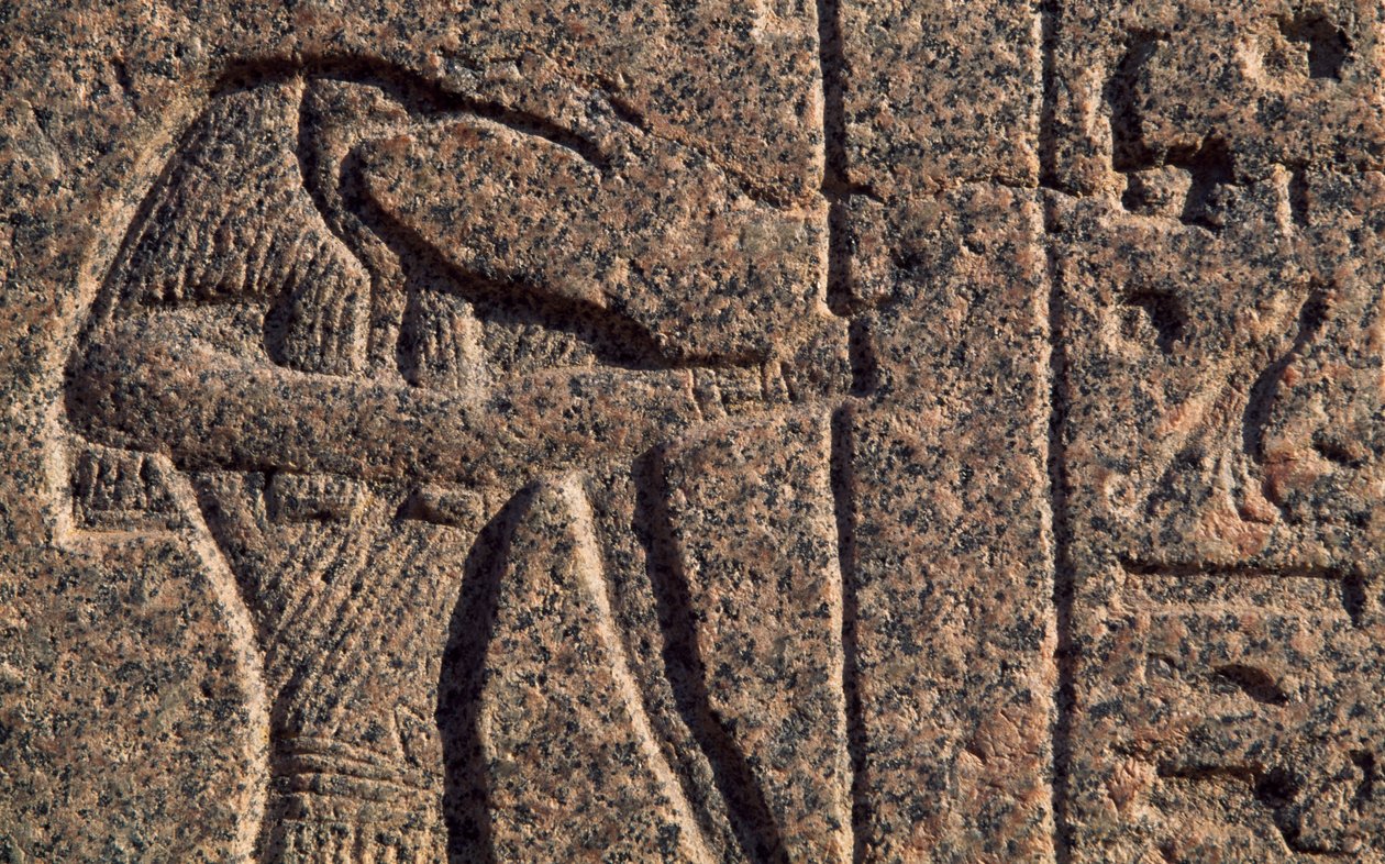 Afbildning af Thoth, detalje af indskrift og relief af Thoth og Horus, Amenhoteps sarkofag, Memphis (Unescos verdensarvsliste) af Egyptian 19th Dynasty