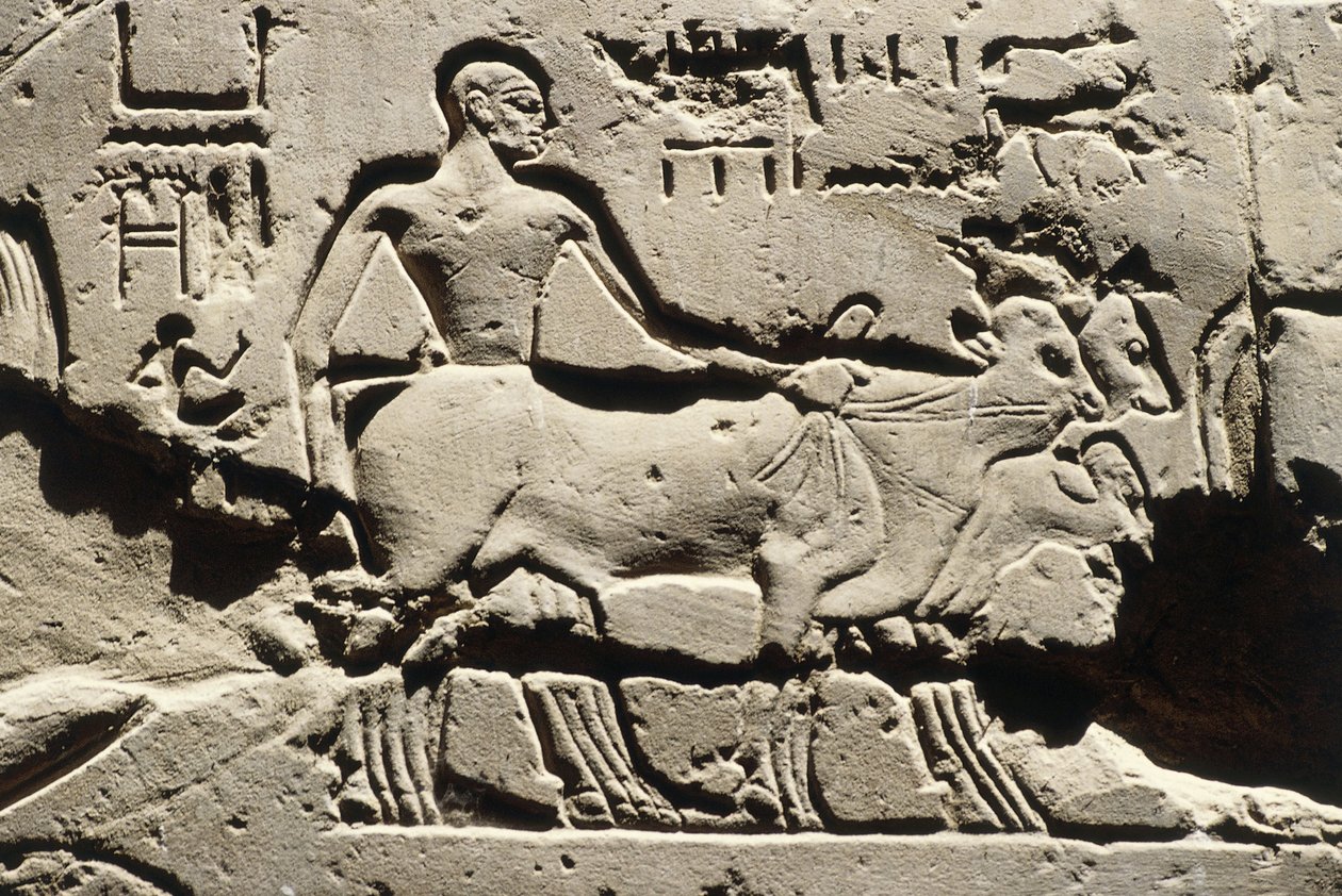 Det gamle Egypten, Luxor, Luxor-templet, Ramses II