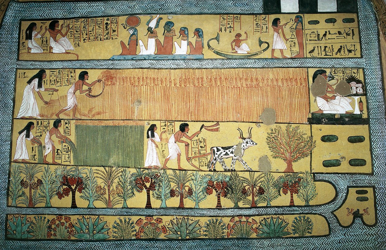 Egypten, Theben, landsby med statsarbejdere i Dayr al-Madinah (Deir el-Medina), Sennedjems grav, fresko med landbrugsscener på markerne i Ialu, Det Nye Rige, Dynasti XIX af Egyptian 19th Dynasty