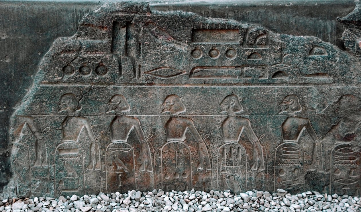 Egyptisk antikvitet: detalje af et relief, der dekorerer emblemerne fra de områder, der er erobret af farao Ramses II (1292-1186 f.Kr.). Tempel i Luxor. Østbredden (Theben), Egypten af Egyptian 19th Dynasty
