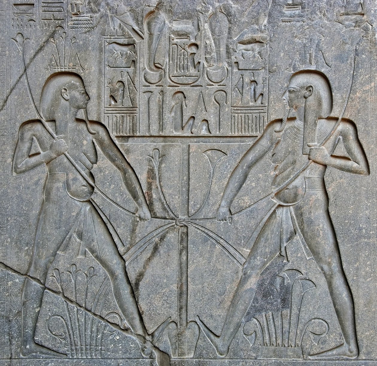Ægyptisk antikvitet: detalje af soklen på statuen af farao Ramses II (1292-1186 f.Kr.), der forestiller foreningen af Øvre og Nedre Egypten. Templet i Luxor. Østbredden (Theben), Egypten af Egyptian 19th Dynasty