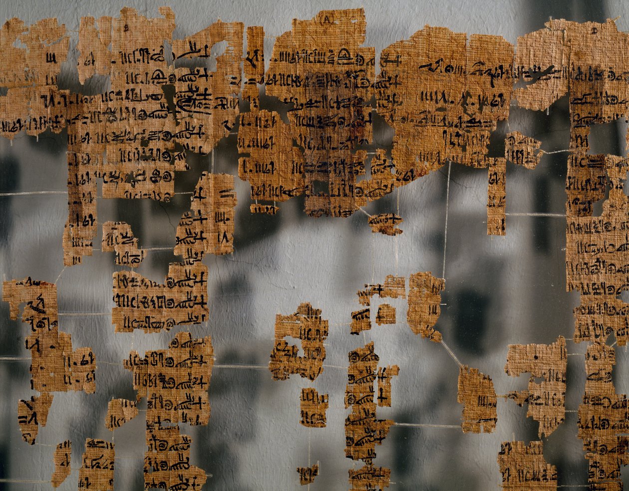Fragmenter af Turin Papyrus, også kendt som King