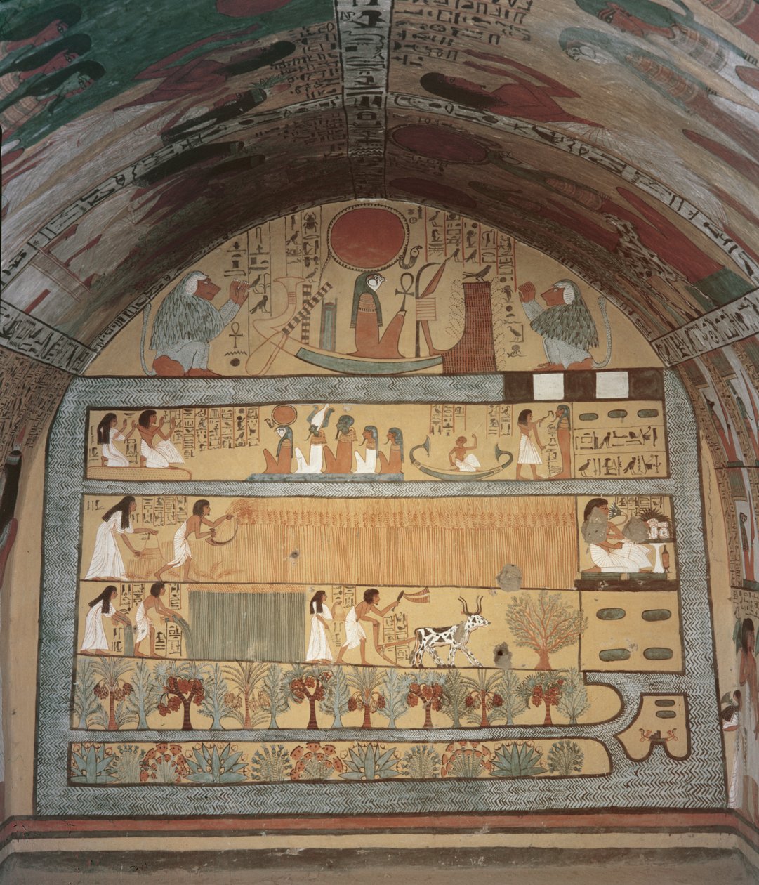 Høstscene på østmuren, fra Sennedjems grav, The Workers Village, New Kingdom (vægmaleri) af Egyptian 19th Dynasty
