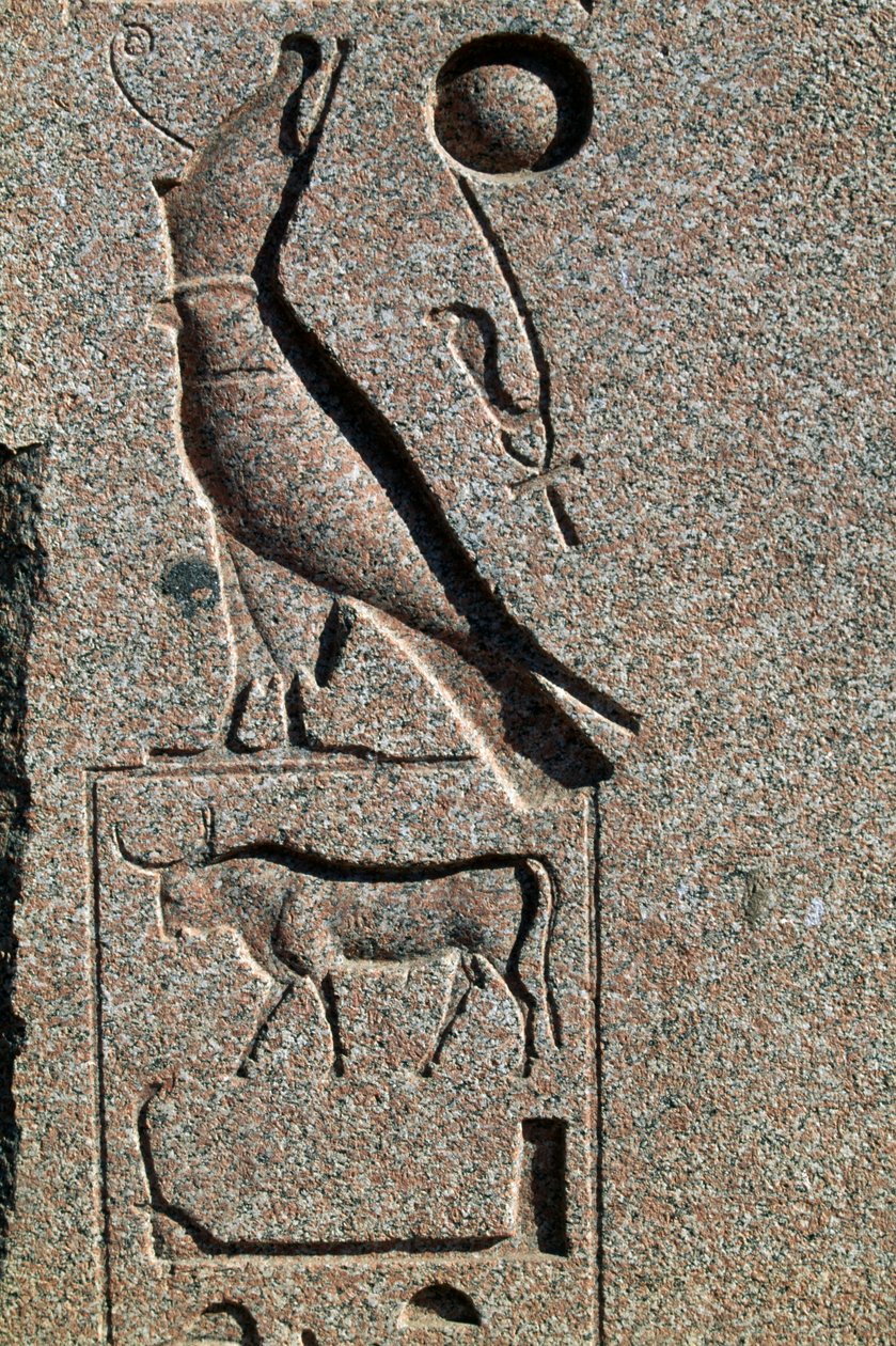 Hieroglyf med Horus