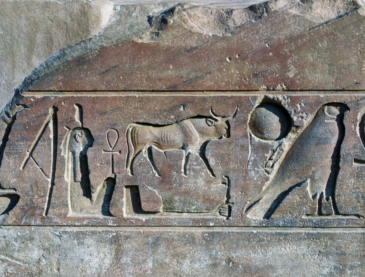 Hieroglyffer med Ramses II