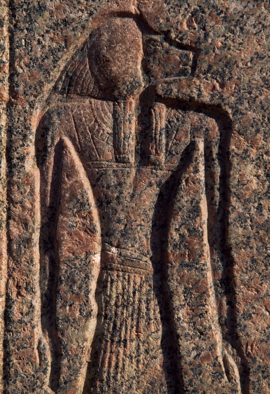 Inskription og relief af Anubis og en anden gud, Amenhoteps sarkofag, Memphis (Unescos verdensarvsliste) af Egyptian 19th Dynasty