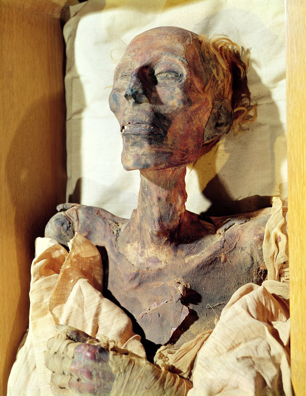 Mumificeret lig af Ramses II (1304-1237 f.Kr.) fundet i en grav ved Deir al-Bahri af Egyptian 19th Dynasty