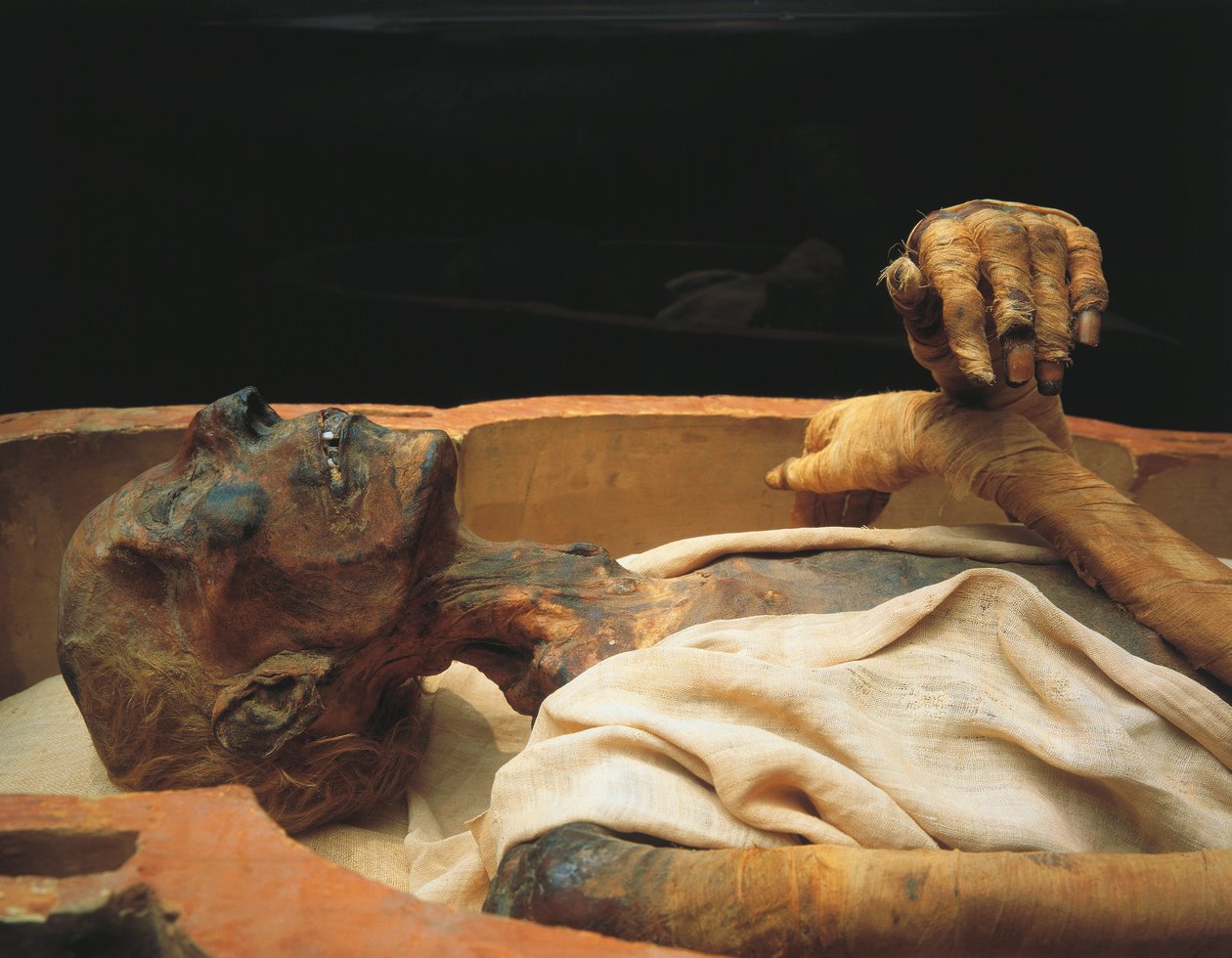 Mumie af Ramses II, detalje af Egyptian 19th Dynasty