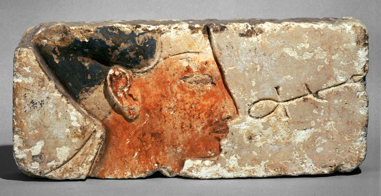 Profil af en konge, sandsynligvis Ramses II - Profil af farao Ramses II. Bemalet kalksten ... af Egyptian 19th Dynasty