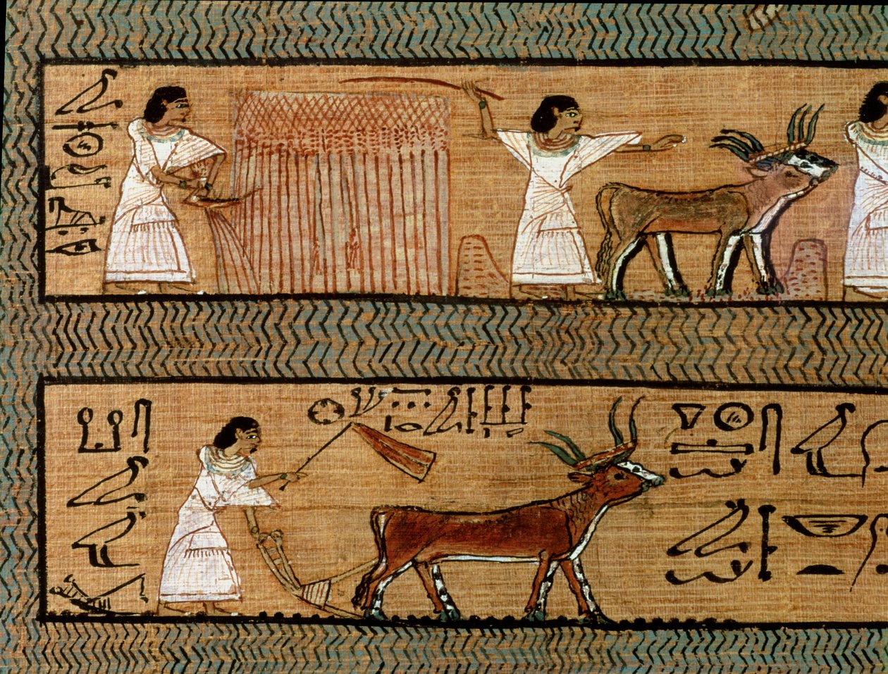 Høst og pløjning, detalje fra en skildring af landbrugsaktiviteter i efterlivet, fra Book of the Dead of the Scribe Any, ca. 1250 f.Kr. af Egyptian 19th Dynasty
