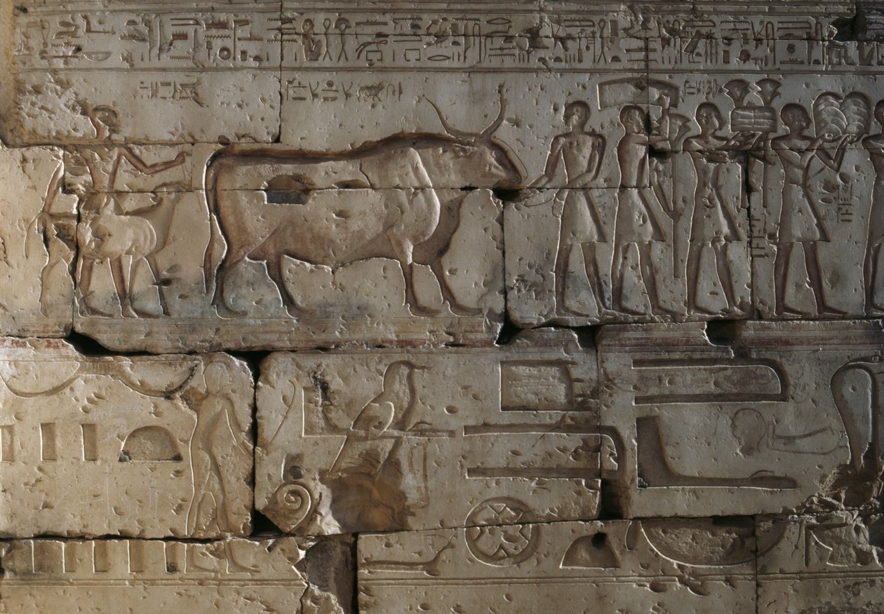 Relief, Ramses II