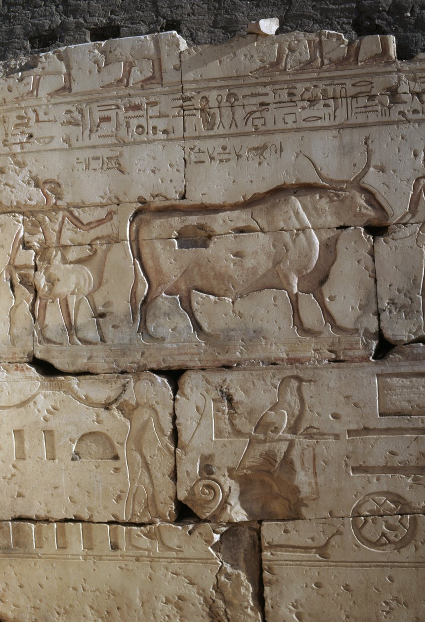 Relief, Ramses II