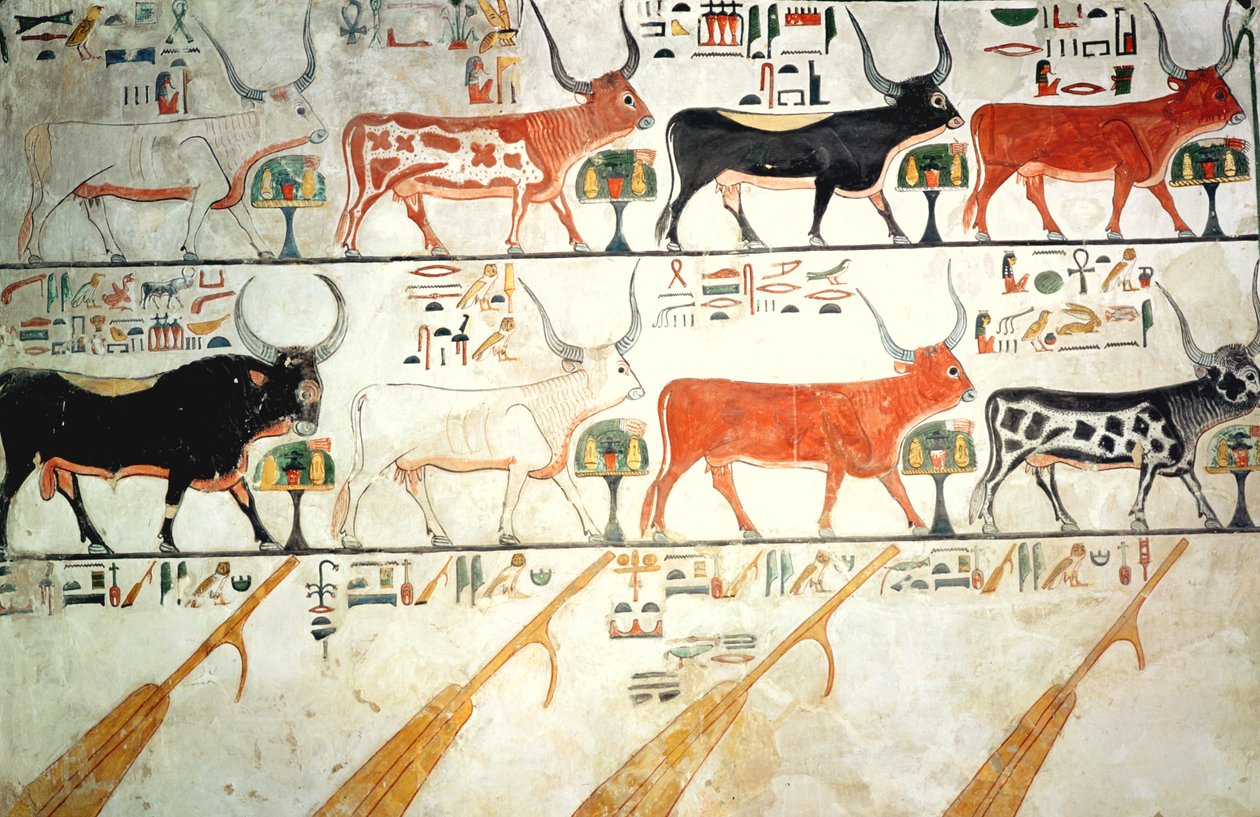 De syv himmelske køer og den hellige tyr og himlens fire ror, fra Nefertaris grav, New Kingdom (vægmaleri) af Egyptian 19th Dynasty