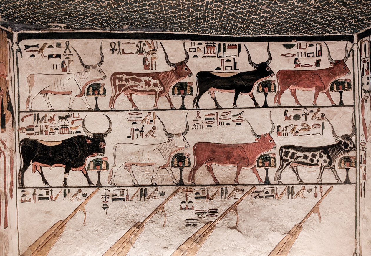 Nefertaris grav (vægmaleri) af Egyptian 19th Dynasty