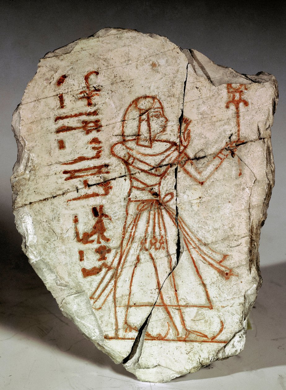 Egyptisk antikvitet: ostrakon (eller ostracon) (flertal: ostraca eller ostraka) (keramikskår brugt til noter, tegninger...) repræsenterer en prinsesse fra Ramessid-perioden (19.-20. dynasti). 1100 f.Kr. Torino, egyptisk museum - Det gamle Egypten: ostrakon af Egyptian 20th Dynasty