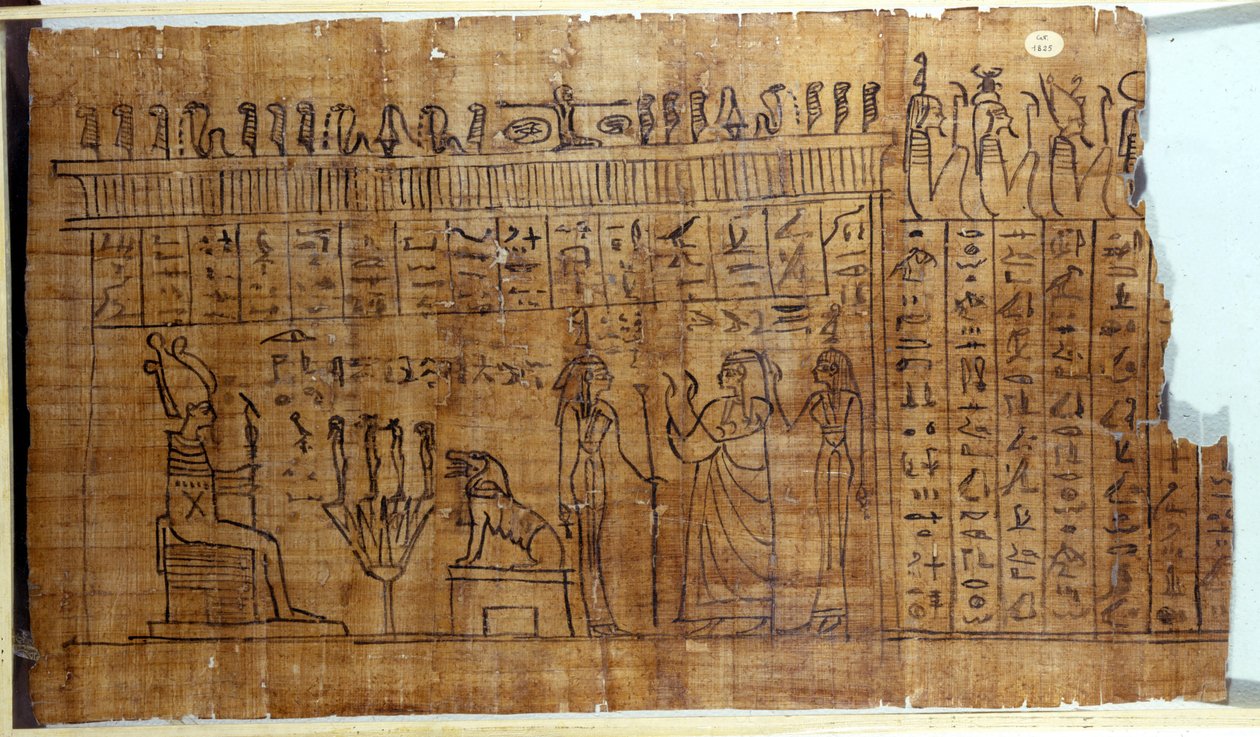 The Book of the Dead: Egyptisk hieroglyf på en papyrus fra det 22. dynasti. 9. århundrede f.Kr. Torino, egyptisk museum. af Egyptian 22nd Dynasty