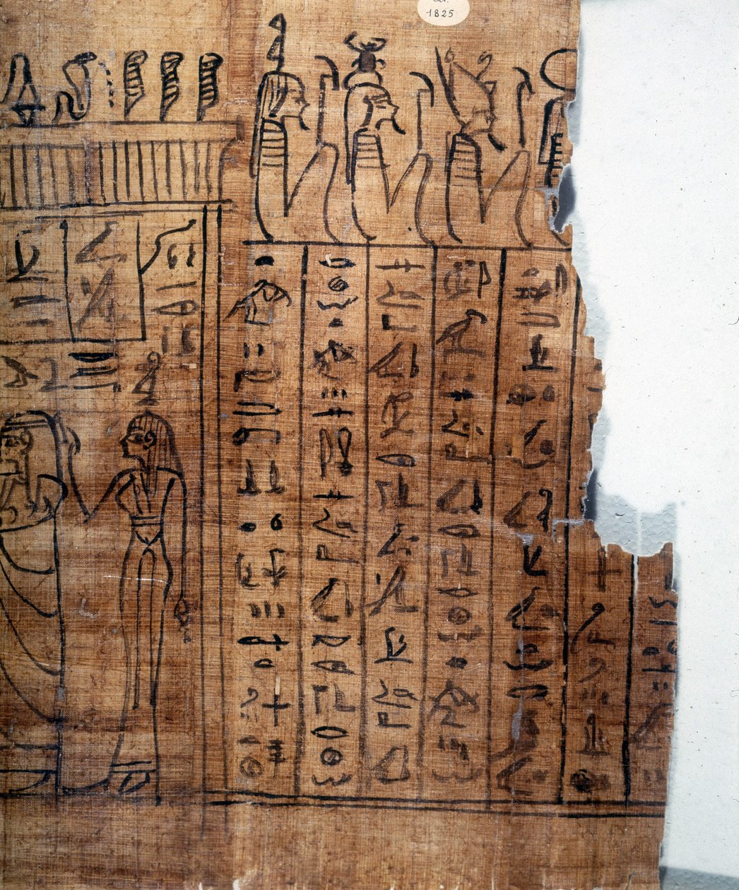 The Book of the Dead: Egyptisk hieroglyf på en papyrus fra det 22. dynasti. Detalje. 9. århundrede f.Kr. Torino, egyptisk museum. af Egyptian 22nd Dynasty