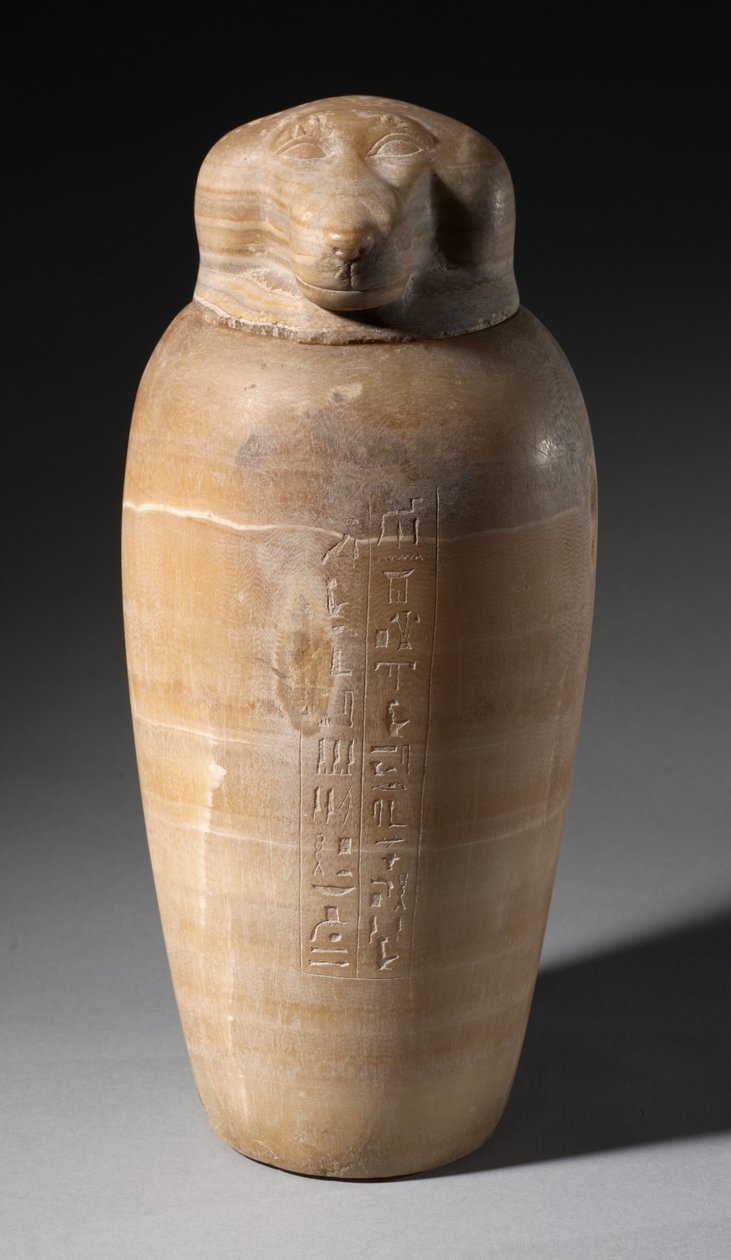 Baldakinkrukke med bavianhoved, 664-525 f.Kr af Egyptian 26th Dynasty