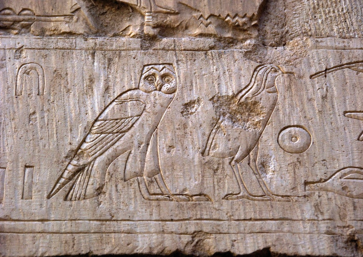 Egyptisk antikvitet: relief, der repræsenterer en ugle og en ørn. Ankh-Hors grav (Ankh Hor) (TT414) (26. dynasti, 672-525 f.Kr.), Luxor (Theben), Egypten af Egyptian 26th Dynasty