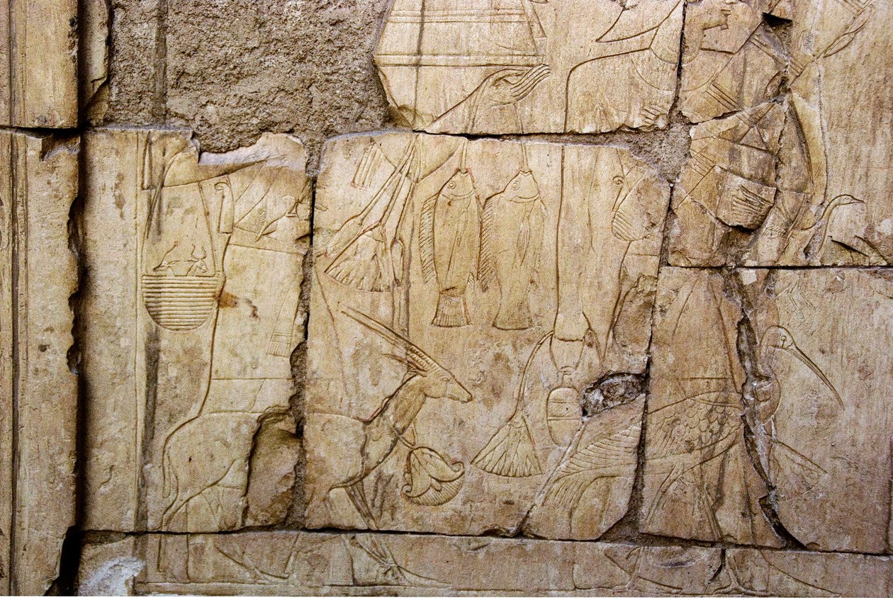 Ægyptisk antikvit: relief, der forestiller bærere af offergaver. Ankh-Hors (Ankh Hor) grav (TT414) (26. dynasti, 672-525 f.Kr.), Luxor (Theben), Egypten. af Egyptian 26th Dynasty