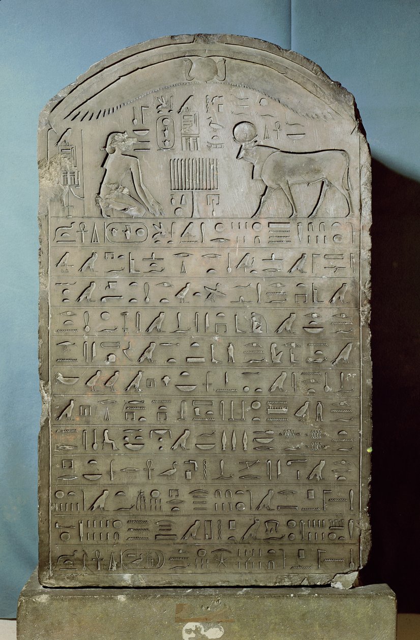 Stela til minde om begravelsen af Apis-tyren under Ahmose II (Amasis) regeringstid fra Serapeum ved Saqqara, sen periode, 547 f.Kr. (kalksten) af Egyptian 26th Dynasty