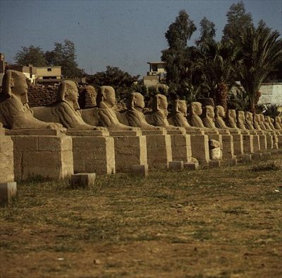 Avenue of Sphinxes, tilføjet af Nectanebo I (380-362 f.Kr.) Sen periode af Egyptian 30th Dynasty