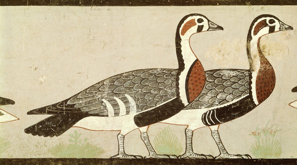 Meidum gæs, fra graven af Nefermaat og Atet, Det Gamle Kongerige, ca. 2620 f.Kr. (malet stuk) af Egyptian 4th Dynasty