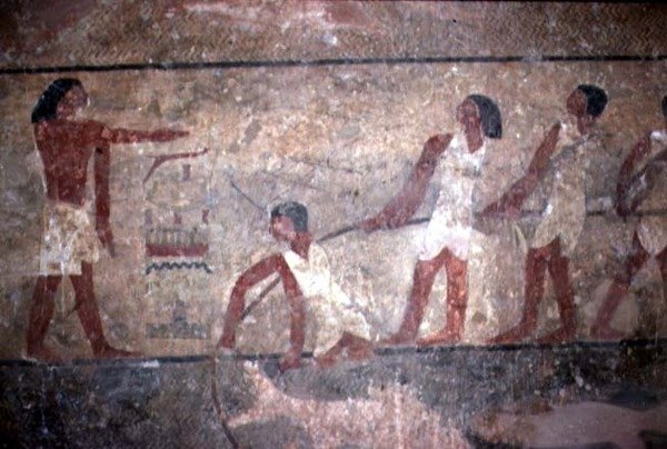 Maleri af fiskere, der trækker net i Khnumhotep II