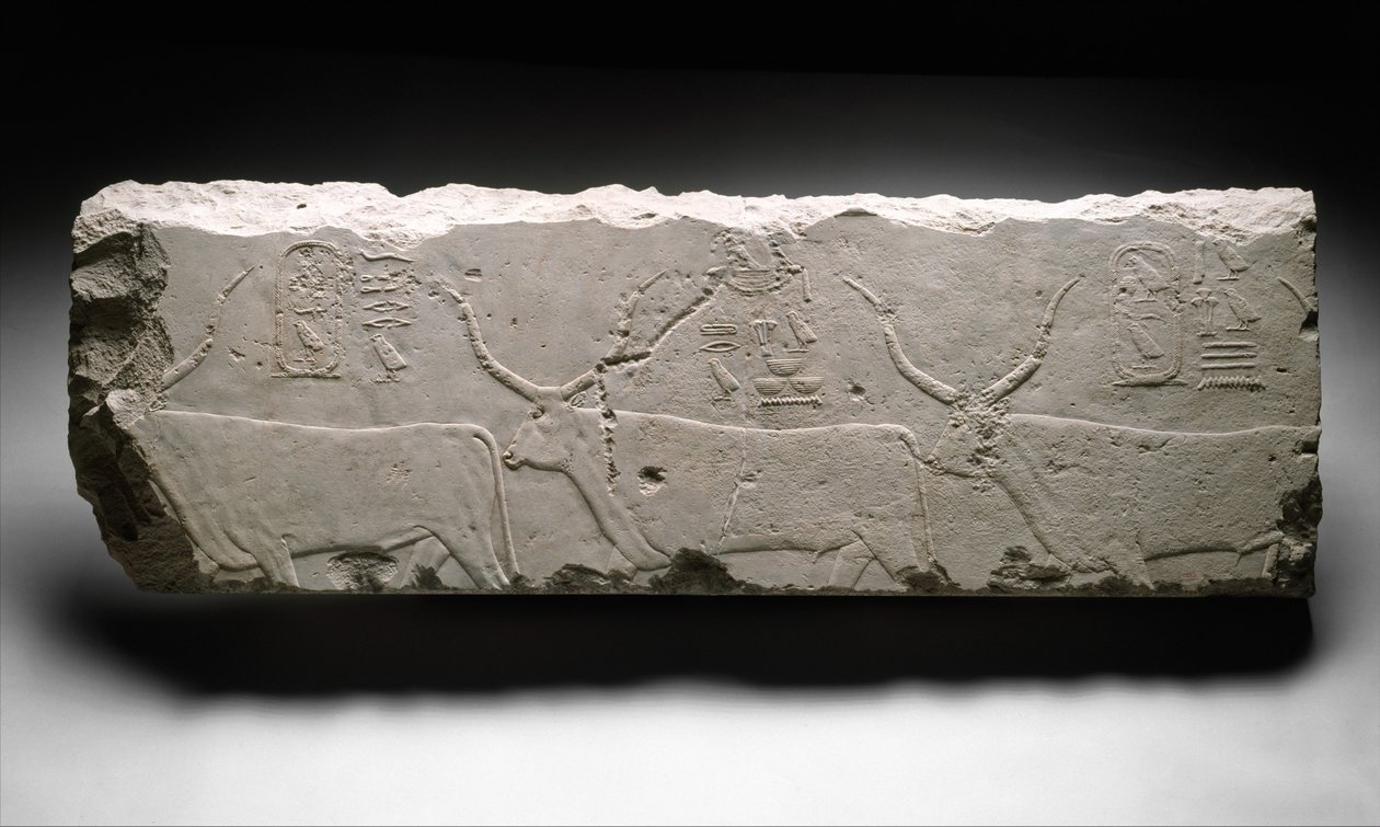 Relieffragment med kong Khufus kvæg, ca. 2535 (kalksten) af Egyptian 4th Dynasty