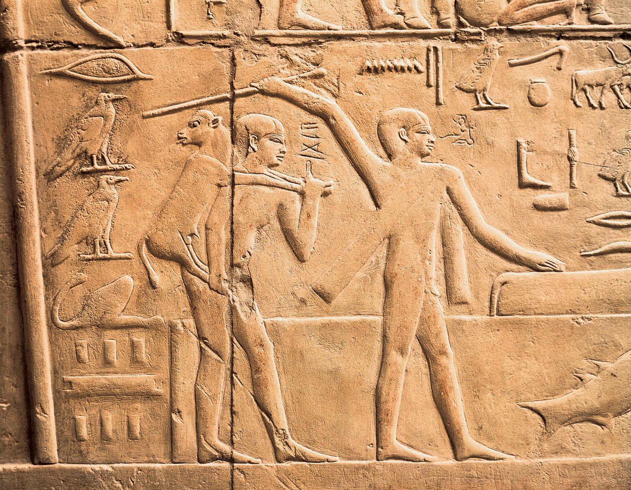 Scener af landbrugsarbejde, detaljer af Egyptian 4th Dynasty