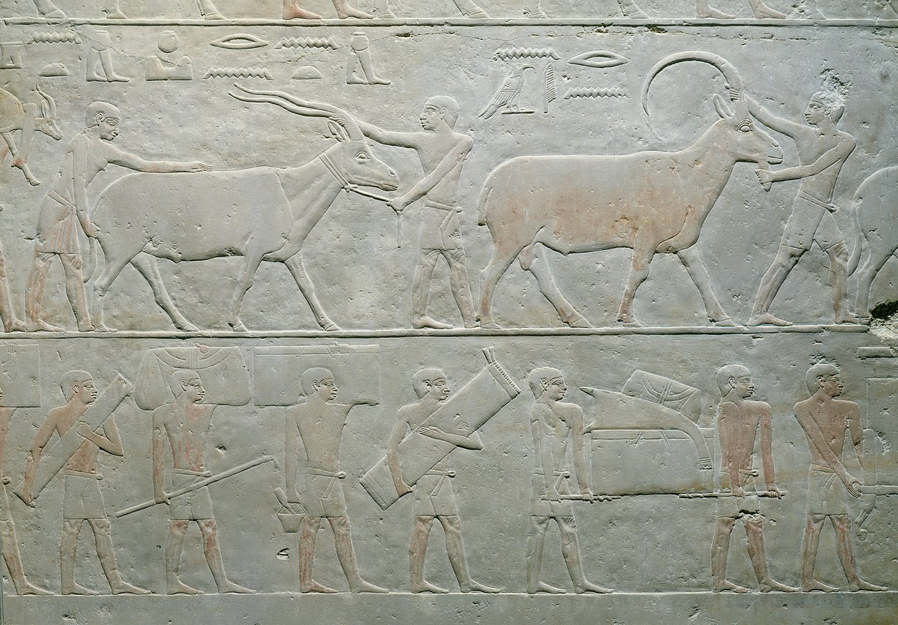 Tjenere, der kører en oryx og en antilope og andre, der medbringer bagage, fra Mastaba of Akhethotep, Saqqara, Old Kingdom, ca. 2400 f.Kr. (malet kalksten) af Egyptian 5th Dynasty