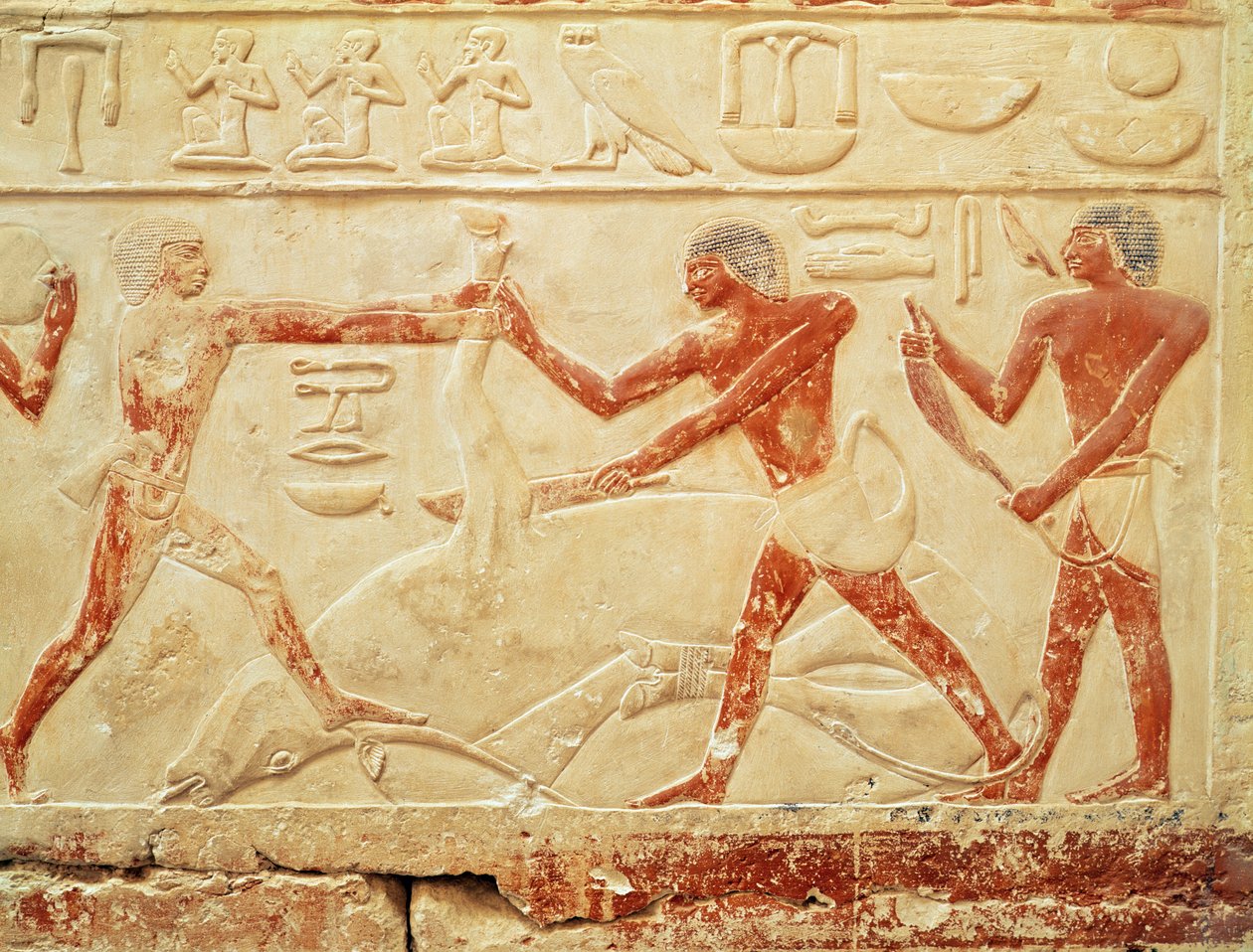 Slagtere, der slagter en okse, relief fra Prinsesse Iduts grav, Det Gamle Kongerige, ca. 2330 f.Kr. (malet kalksten) af Egyptian 6th Dynasty
