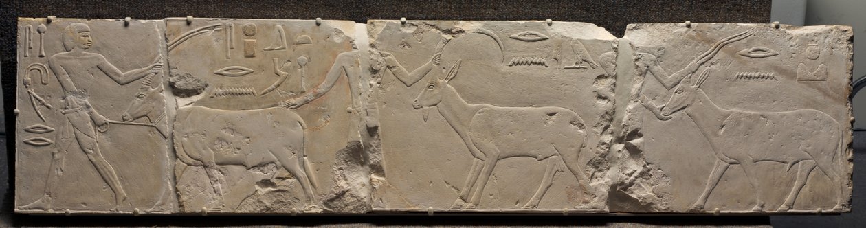 Relief af mænd, der bringer ørkendyr, ca. 2311-2281 f.Kr af Egyptian 6th Dynasty