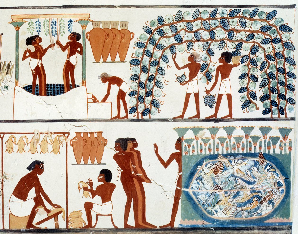 Art Egypt: plukke og træde druer. Simile College of the Tomb of Nakht, perioden for Amenophis II (ca. 1450-1425 f.Kr.) Paris, College De France af Egyptian Egyptian