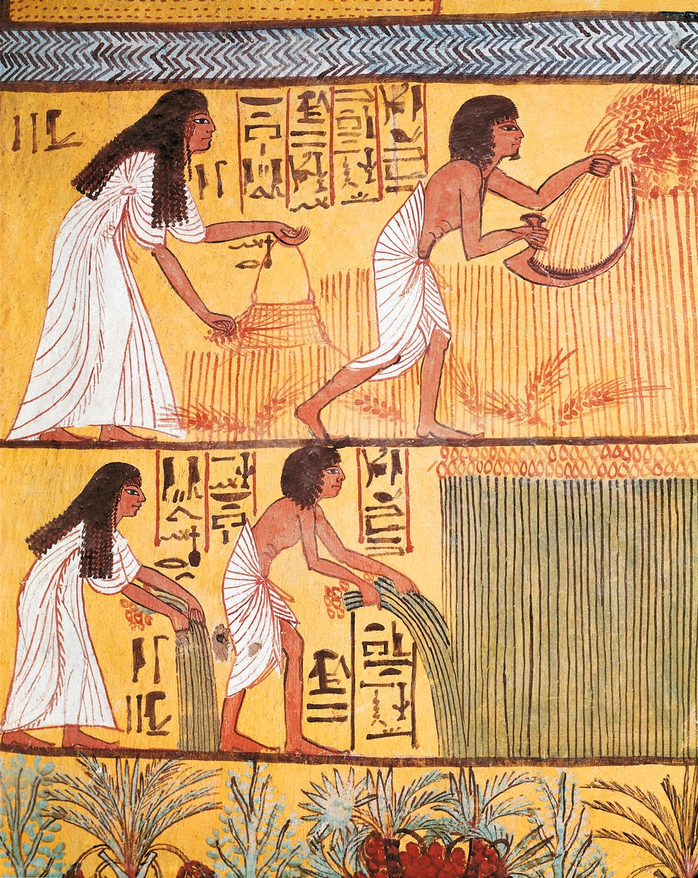 Detalje af en høstscene på østmuren, fra graven i Sennedjem, arbejderlandsbyen af Egyptian Egyptian