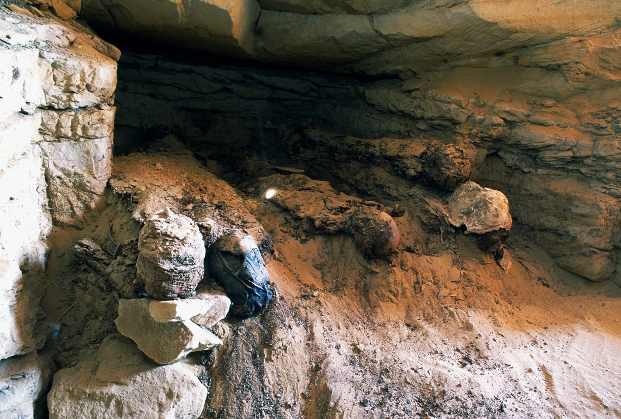 Detalje af grav nr. 49, Valley of Golden Mummies, Bahariya Oasis, Giza, Egypten. egyptisk civilisation af Egyptian Egyptian