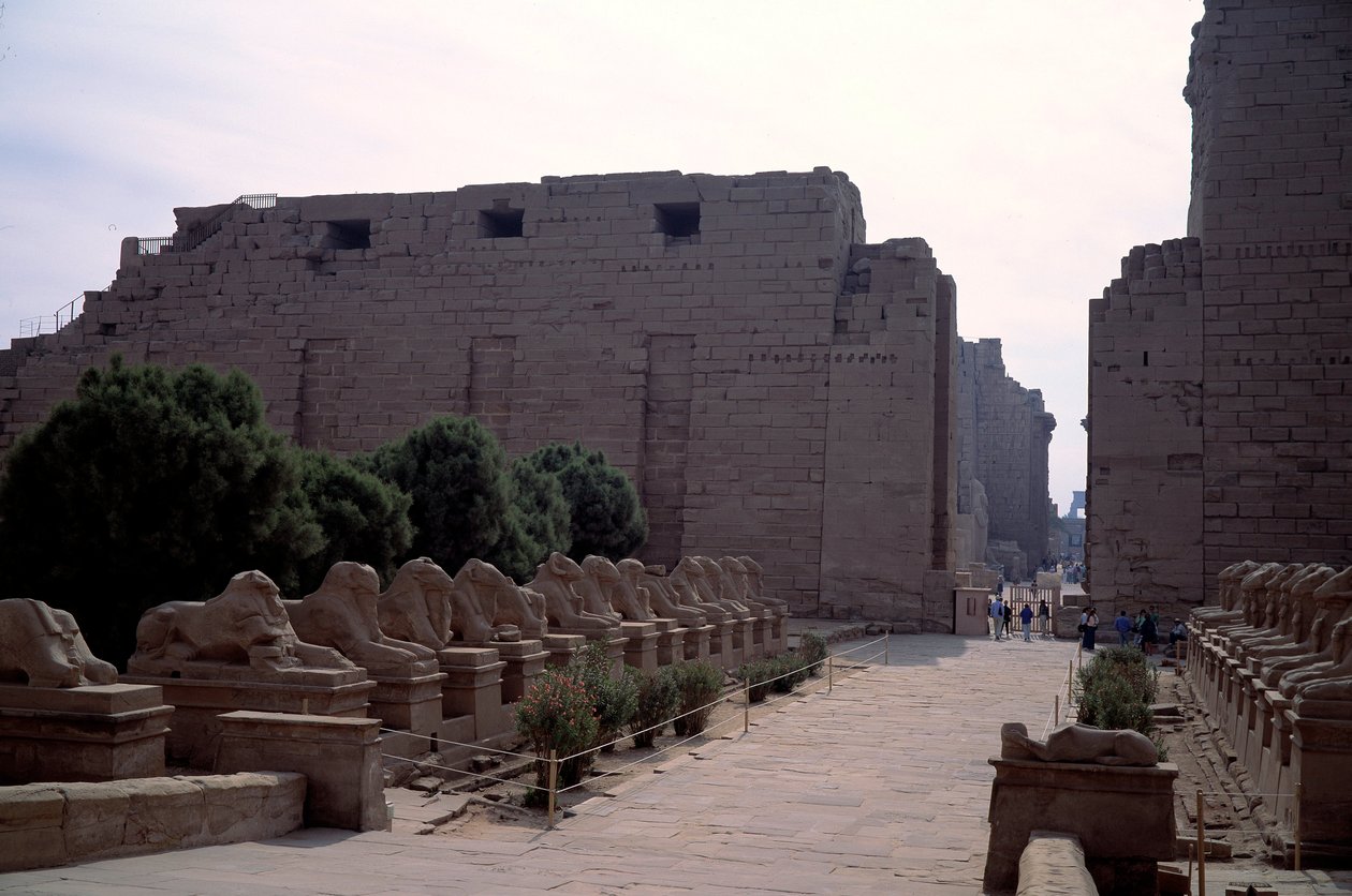 Egyptisk antikvitet: allee (dromos) af criosphinxen (sfinxen i spidsen for beliers) i Karnak, Luxor, Egypten af Egyptian Egyptian