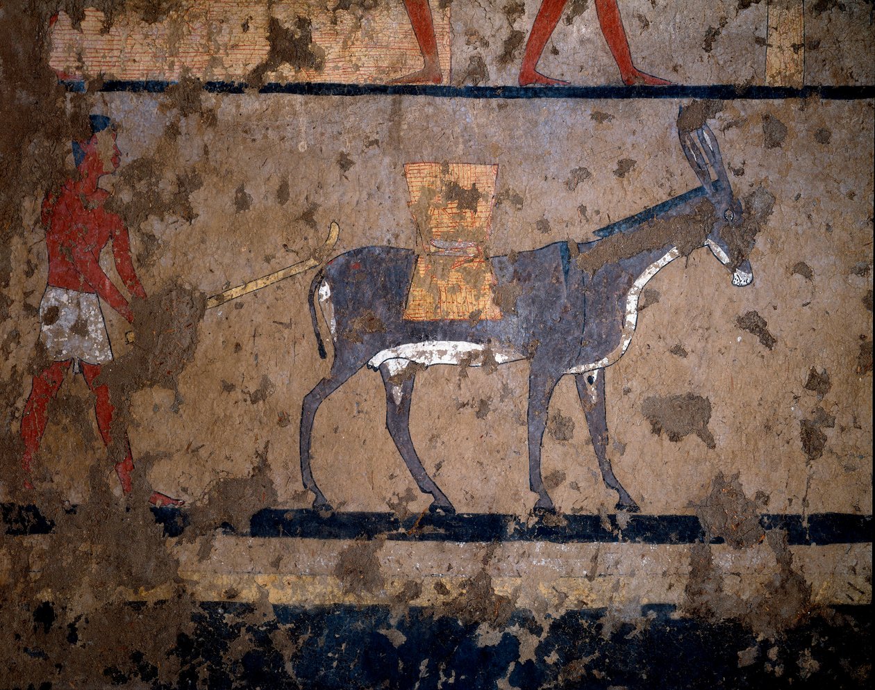 Ægyptisk antikvitet: "" transporten af korn på ryggen af et muldyr""" Tempera maleri af væggen i graven af kansleren for kong Iti (eller Ity) 2200-2000 f.Kr. Fra El Ghebelen, Luxor. Torino, egyptisk museum af Egyptian Egyptian