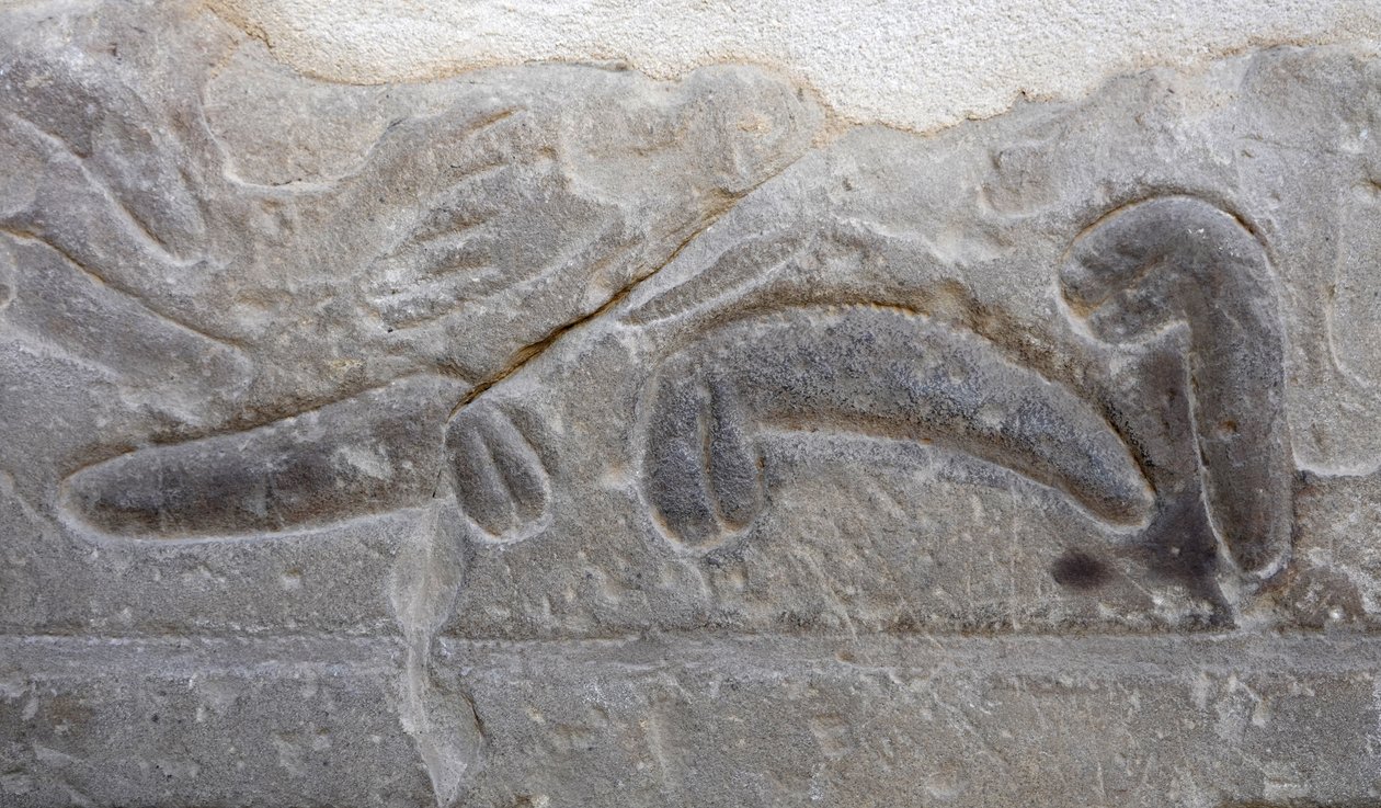 Bunker af mandlige kønsdele skåret af fjenden, Horus-templet, Edfu af Egyptian Egyptian
