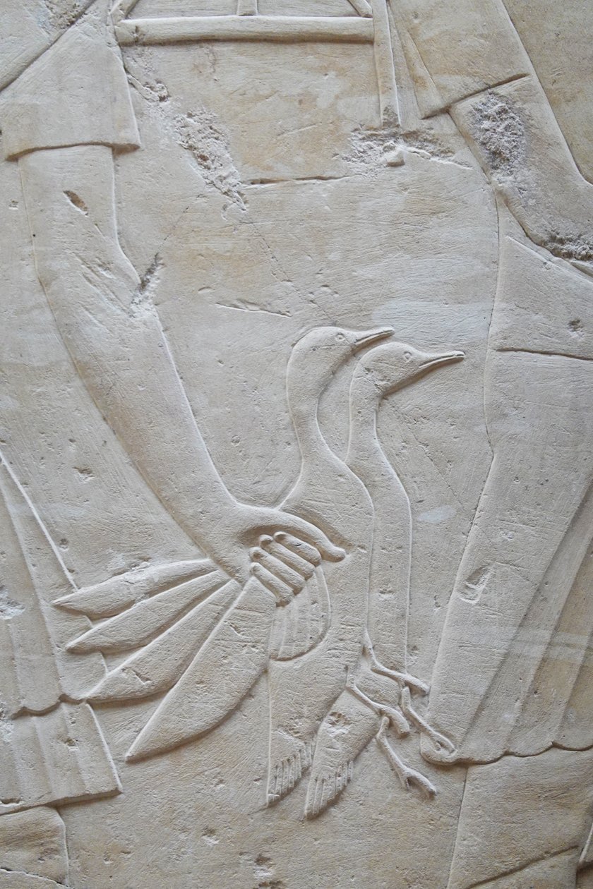 Hånd, der holder 2 gæs i vingerne, Ramoses grav af Egyptian Egyptian