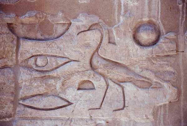 Hieroglyffer fra en søjle, Luxor-templet (foto) af Egyptian Egyptian