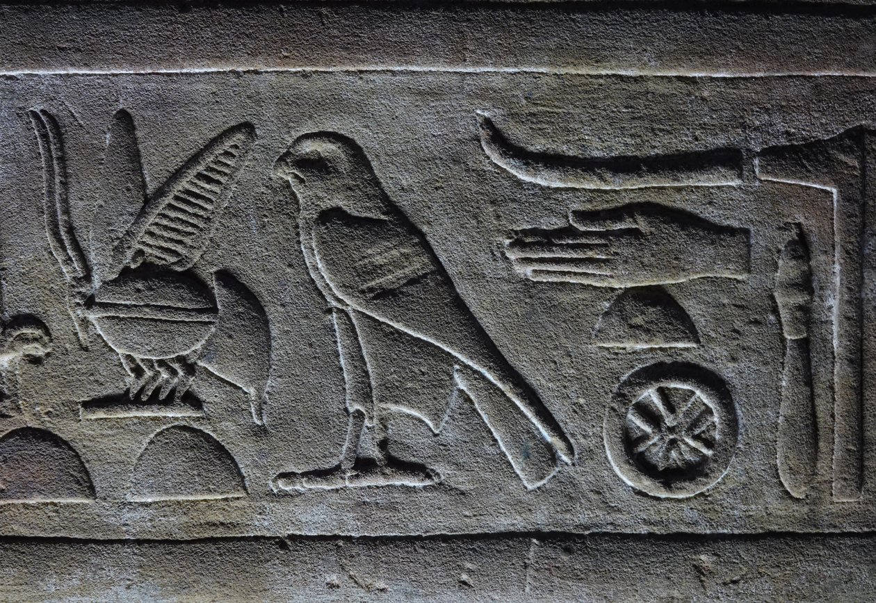 Hieroglyps, Faraos bi og Horus-falken, Horus-templet, Edfu af Egyptian Egyptian