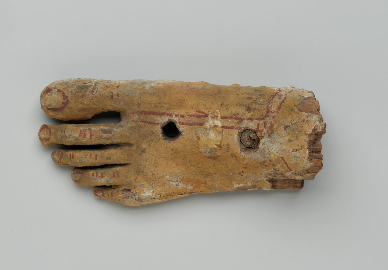 Venstre fod fra en antropoid kiste, 30 f.Kr.-2. århundrede e.Kr. (træ og gips) af Egyptian Egyptian