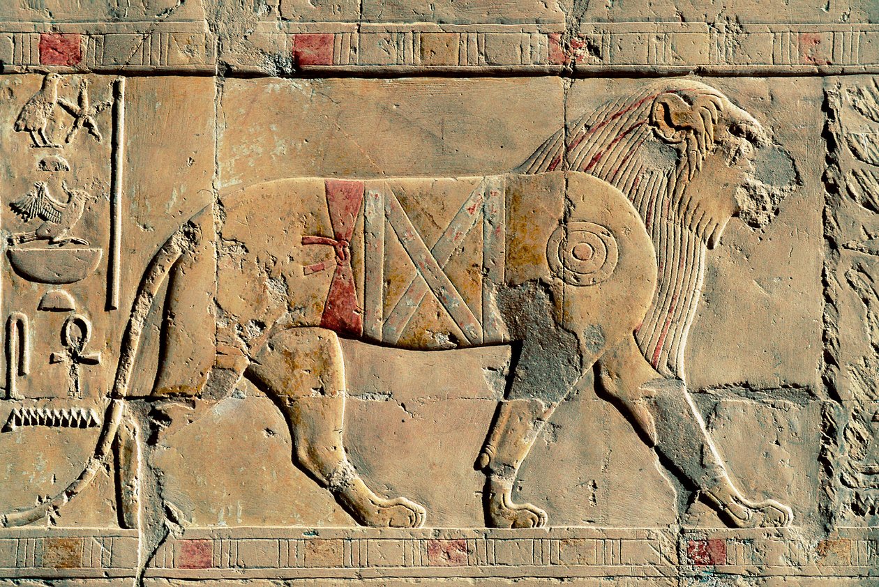 Løve, Senenmut, Hatshepsut-templet, Dayr al-Bahri, Egypten af Egyptian Egyptian