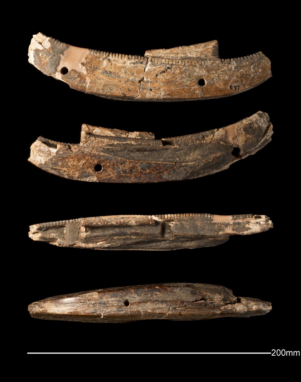 Modelbåd, Hierakonpolis, tidlig dynastisk periode (ca. 2950 - ca. 2575 f.Kr.) (udskåret elfenben) af Egyptian Egyptian